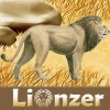 African reserve: Lion lovers!